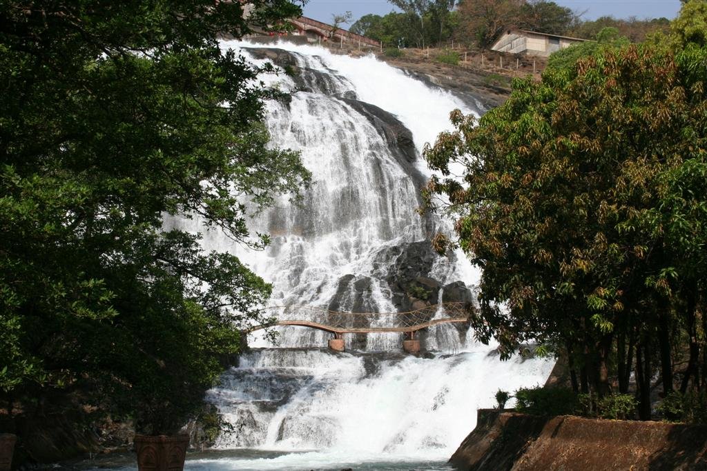  Waterfalls In Nashik, framed by dense green trees and a scenic pedestrian bridge crossing midway."