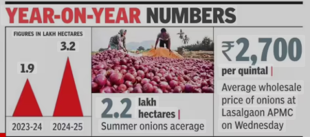 The Nashik Onion Boom began with a nearly 5 lakh quintal harvest in just the summer season of 2024–25