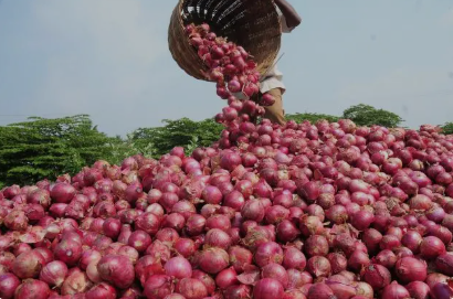 Nashik Onion Boom, has taken center stage in 2025.