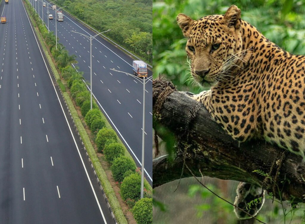 Samruddhi Expressway, Wildlife Corridor