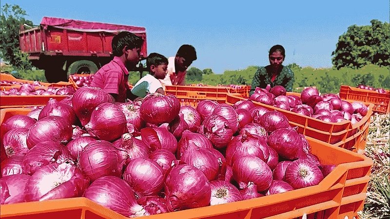 Nashik Onions Boom, Global Market