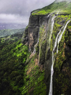 About - Tranquil Stead | Nashik event and updates